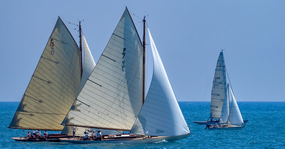 Voiliers classiques en navigation